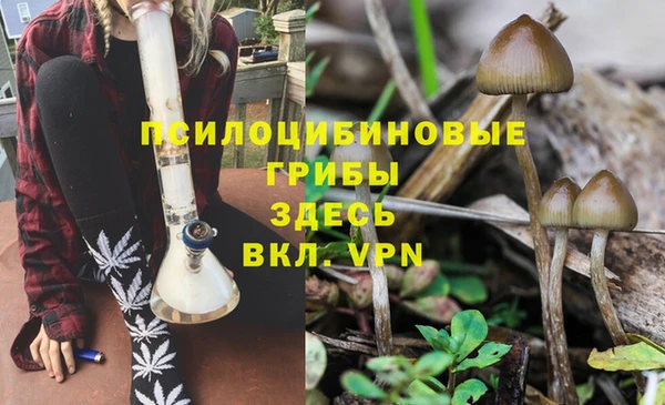 каннабис Володарск