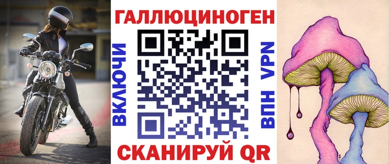 Псилоцибиновые грибы GOLDEN TEACHER  Купить  Киселёвск 